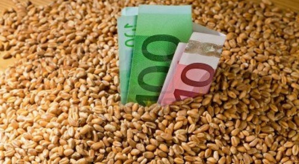 ΟΠΕΚΕΠΕ – Δεκτά μόνο τα ηλεκτρονικά μισθωτήρια αγροτεμαχίων