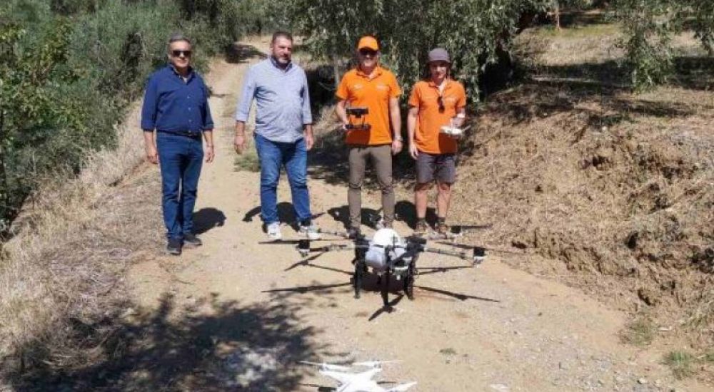 Περιφέρεια Θεσσαλίας: Χρήση νέων τεχνολογιών σε πειραματικές εργασίες για την αντιμετώπιση του δάκου της ελιάς